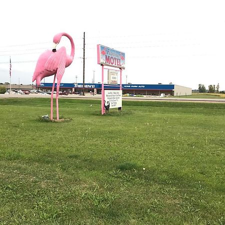 Flamingo Motel Marshalltown Luaran gambar