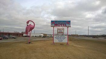 Flamingo Motel Marshalltown Luaran gambar